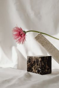 Kaboompics - Abstract Flower Arrangement on White Fabric