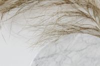 Kaboompics - Fine Dried Pampas Stems over Marble in a Wide Neutral Botanical Background
