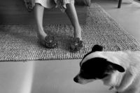 Kaboompics - Black and White Legs with Floral Sandals and Small Dog on a Rug
