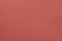 Kaboompics - Coral Pink Painted Texture Background