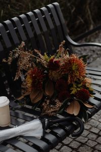 Kaboompics - Large Autumn Bouquet and Coffee on a City Park Bench