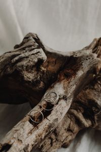 Kaboompics - Silver Hoop Earrings Arranged Along a Driftwood Branch
