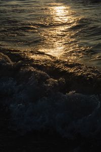 Kaboompics - Gold Reflections Across Choppy Water, Vertical Ocean Wallpaper