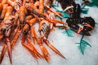 Kaboompics - Langoustines and Black Lobsters on Ice in Barcelona