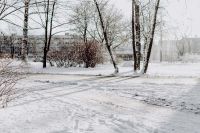 Kaboompics - Snowy Park Path with Long Tree Shadows and Bare Trees