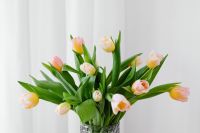 Kaboompics - Pastel Tulip Arrangement Against a White Curtain for Greeting Cards and Editorial Use