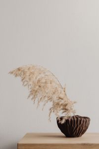 Kaboompics - Pampas Grass in Sculptural Brown Vase on Light Oak Console, Wide Neutral Background