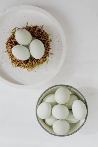 Kaboompics - Easter flat lay with green eggs on a white marble