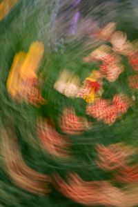 Kaboompics - Colorful Garden Flowers Swirled into Motion Blur