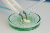 Kaboompics - STEM Experiment With Dissolving Tablet in Petri Dish