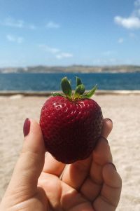 Kaboompics - Authentic Moments: A Free UGC-Styled Photo Collection Shot on iPhone