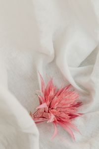 Kaboompics - White Linen Fabric with Natural Folded Texture