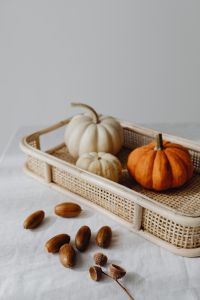 Kaboompics - Orange and White Pumpkins with Acorns Beside a Wicker Tray