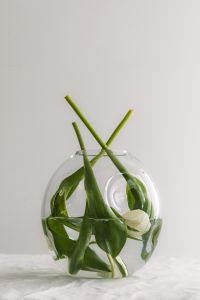 Kaboompics - Green Leaves and White Flowers in a Round Glass Vase
