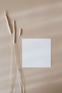 Kaboompics - Vertical Blank Card Mockup with Dried Grass on Beige Background