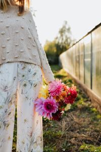Kaboompics - A woman with beautiful colorful dahlia flowers