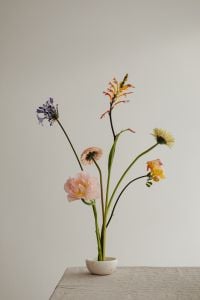 Kaboompics - Easter Delights - Spring Flowers and Minimalist Tableware