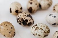 Kaboompics - Macro Quail Egg Still Life with Speckled Shells on White Marble