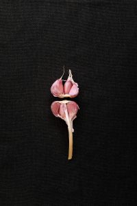 Kaboompics - Garlic Bulbs on a Black Background