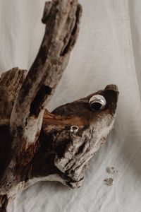 Kaboompics - Silver Ring and Small Jewelry Pieces on Driftwood