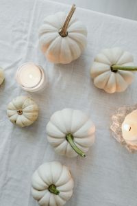 Kaboompics - White Mini Pumpkins Around a Candle Viewed from Above