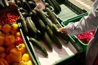 Kaboompics - Fresh Zucchini at a Farmers Market