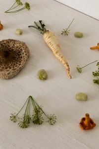 Kaboompics - Parsnip, Broad Beans, Chanterelles and Seed Head on White Texture