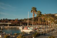 Kaboompics - Palm-Lined Malaga Marina