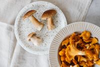 Kaboompics - Flat Lay of Boletus and Chanterelle Mushrooms on Plates