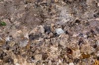 Kaboompics - Reflective Pebble Shore under Rippling Water with Coastal Texture