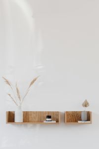 Neutral Wooden Shelf Styling with Botanicals, Books and Vintage Camera