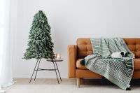 Kaboompics - Minimal Christmas Living Room With Tree and Sleeping Dog