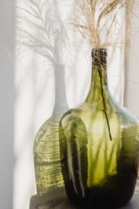 Kaboompics - Dried Grass Shadows on White Wall Beside Green Bottle for Minimal Interior Backdrops