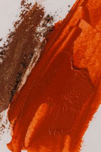 Kaboompics - Orange Lipstick with Brown Powder Swatch