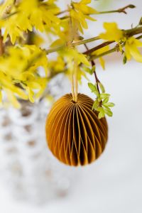 Kaboompics - Easter with Forsythia