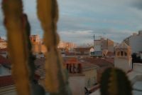 Kaboompics - Cactus-Framed Rooftop View of Mediterranean City at Dusk