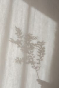 Kaboompics - Soft Fern Shadow on Cream Linen Background