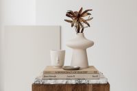 Kaboompics - Minimalist Interior Decor with Sculptural Vase, Art Books and Dried Flower