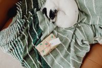 Kaboompics - Sleeping Dog Beside Wrapped Gift on Green Blankets