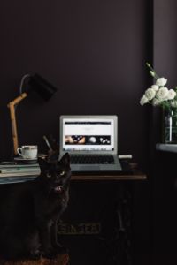 Contemporary Dark Home Office with Laptop, Books and Cat