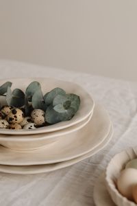 Kaboompics - Close-Up Quail Eggs And Eucalyptus On Linen