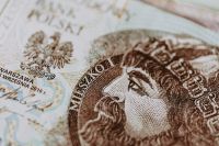 Kaboompics - Macro Detail of a Polish Zloty Banknote Portrait and Security Pattern