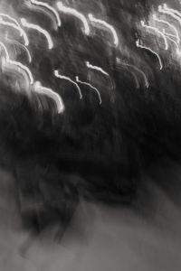 Kaboompics - Black and White Abstract Christmas Tree Light Trails