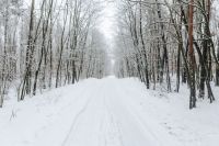 Kaboompics - A snowy road in the forest