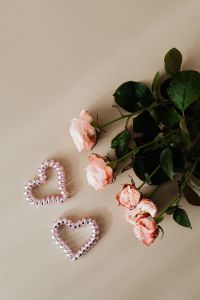 Kaboompics - Blush Roses and Two Beaded Heart Ornaments on Beige