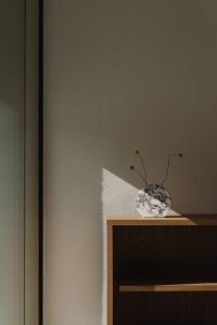 Kaboompics - Round marble vase with dried craspedia on oak shelf