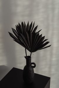 Kaboompics - Two Dried Palm Fans in a Black Ceramic Vase on a Dark Pedestal, Neutral Still Life