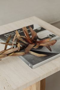 Kaboompics - Dried Protea and an Open Design Book on a Marble Coffee Table