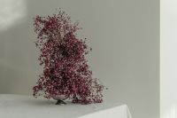 Kaboompics - Flowers