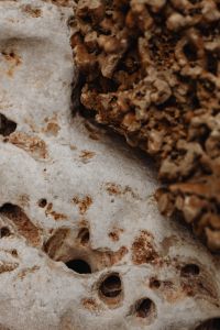 Kaboompics - Pitted Cream Limestone with Brown Natural Cavities, Macro Stone Detail